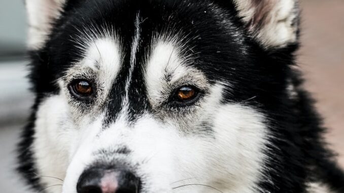 uploaded-image-semdinlide-doga-sporlari-1697805219072