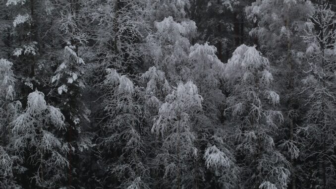 uploaded-image-semdinlide-saglik-tesisleri-1697805243968