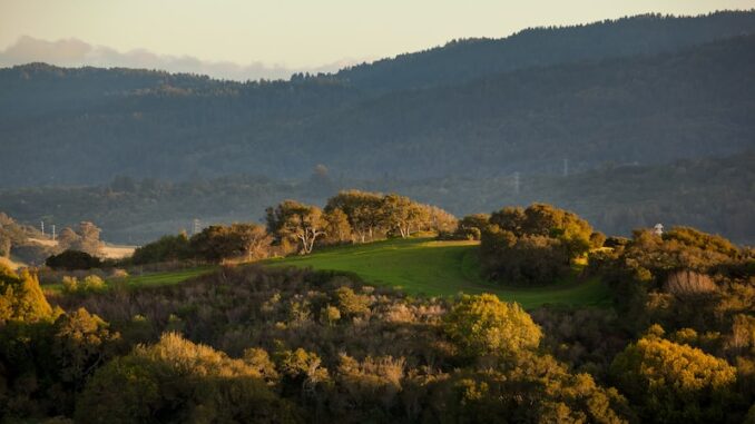 uploaded-image-semdinlide-sanayi-ve-is-firsatlari-1697805239286