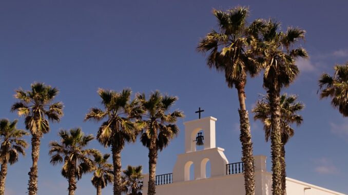 uploaded-image-semdinlinin-yerel-medyasi-1697805249900